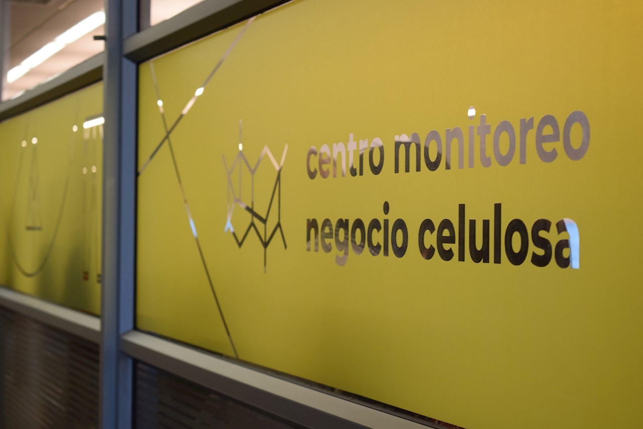 Arauco�w�S�ؘI(y��)�ձO(ji��n)���������